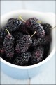 cropped-blackberriesgratwi1.jpg